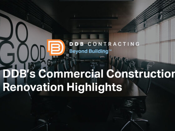 DDB’s Modern Renovations Highlights